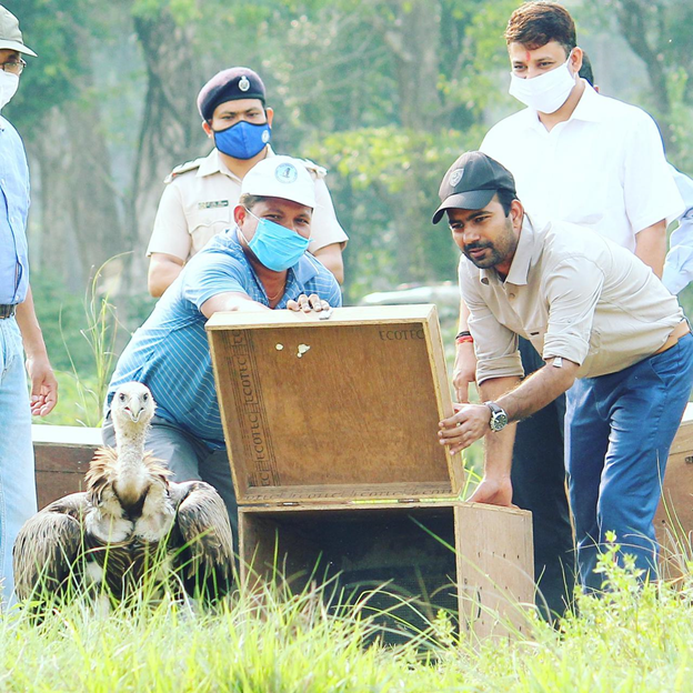 PrakashJavdekar's tweet photo. Happy to note that 21 of the Himalayan griffon vultures brought in critical condition were released back to the wild after being treated by the vets. 
Kudos to efforts towards the conservation of #vultures that have reduced by over 95 percent over recent decades. https://t.co/ZGjxqzZlgj