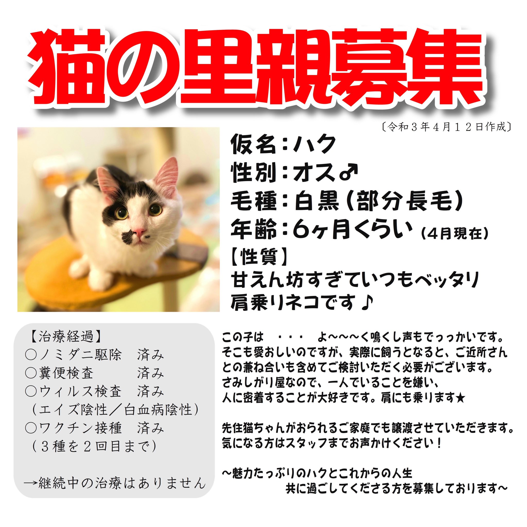 保護猫カフェ かわたにゃんず 拡散希望 ー猫の里親募集ー 仮名 ハク 性別 オス 毛種 白黒 部分長毛 年齢 6ヶ月くらい 詳しくはこちらをご覧ください T Co Eerj3iybzv 長崎県 にゃんとかせんば 長崎の変 殺処分ゼロ