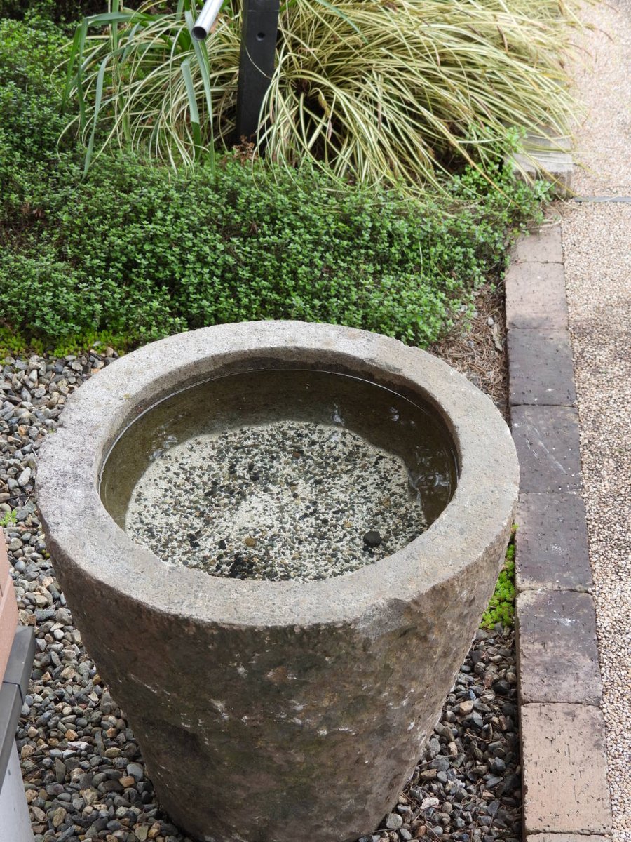 はなまる うどん たんぽぽ 水繋がり 私が 初めて驚いた植物 不思議な たんぽぽ 庭の花水木 玄関脇に 石臼のメダカ入れ 置いて見た 数千匹のメダカは もちろん入れない はなまる うどん たんぽぽ 水繋がり 私が 初めて驚いた植物 不思議な たんぽぽ 庭の花水木 玄関脇に 石臼のメダカ入れ 置いて見た 数千匹のメダカは もちろん入れない