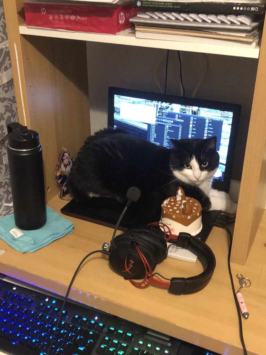 SPARDAISM's tweet image. .............