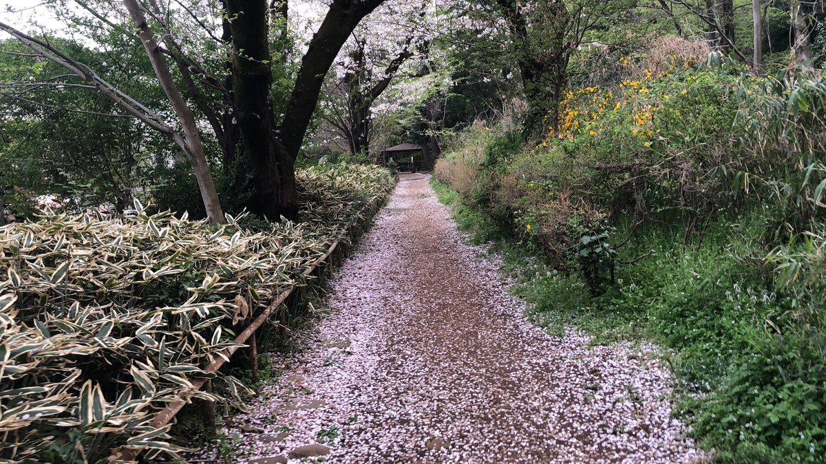 tinkermei's tweet photo. 🌸❤️ https://t.co/EqIRiV70Hl