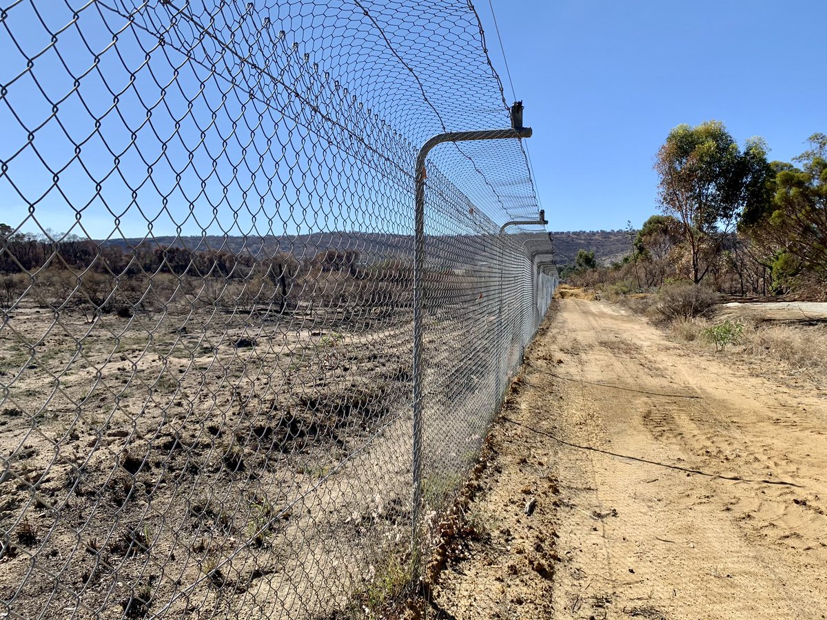 Rob Davis tweet media