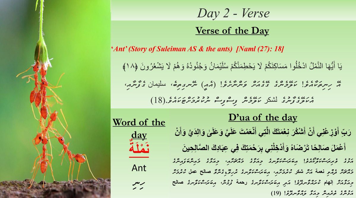 SchoolHithadhoo's tweet photo. Day 2
May Allah.s.w bless us all with all the goodness of Ramadan 💖 @MoEdumv @DrAsiyaDidi https://t.co/9gdsgTc395