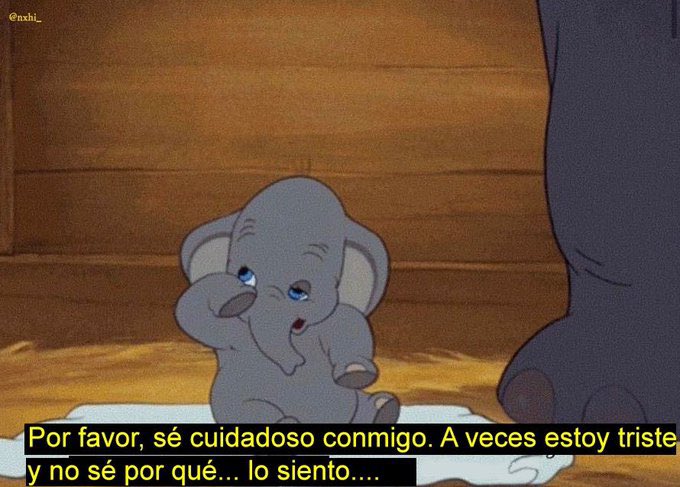 KarymeDeLucca's tweet photo. Me describe perfecto https://t.co/JXR9oJm5iF