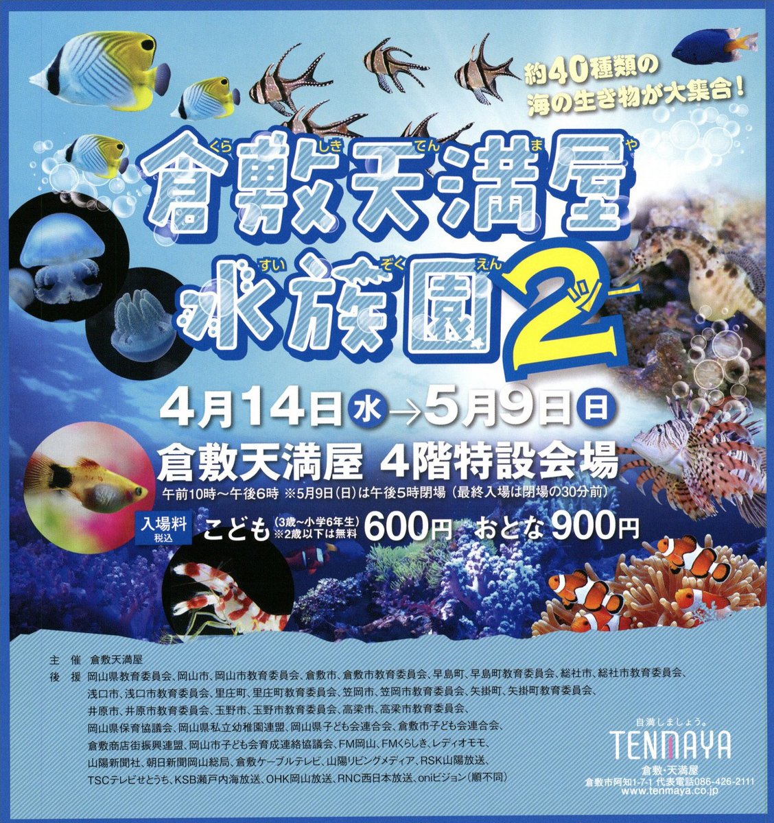 子どもとおでかけ 岡山イベント情報 21年4月14日 水 5月9日 日 倉敷天満屋水族園 後期 T Co Xlbqzlxsm9 子どもとおでかけ岡山 倉敷市 子どもとおでかけ 岡山イベント情報 21年4月14日 水 5月9日 日 倉敷天満屋水族園 後期 T Co Xlbqzlxsm9 子どもとおでかけ岡山 倉敷市