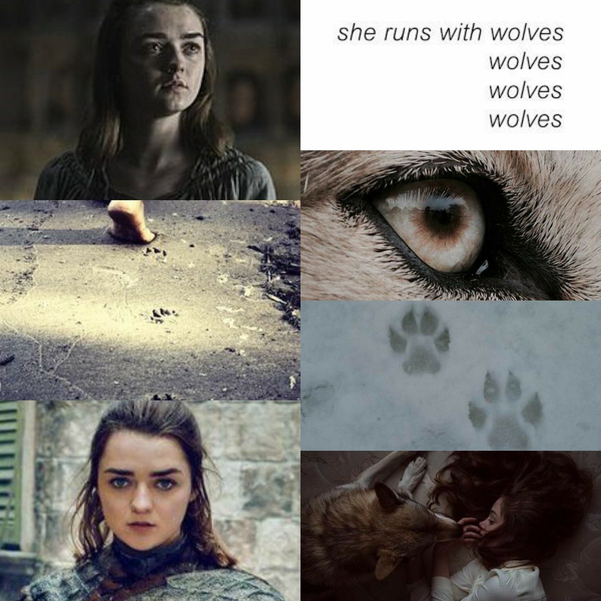 TheWraith2010's tweet photo. "She was born to be free, let her run wild in her own way and you will never lose her"
#aryastark #aryastarkedit #aryastarkaesthetic #aryastarkfanmade #shewolf #princessinthenorth #queenofwolves #housestark #winteriscoming #winterfell #thenorthremembers #wolves #wolfblood #pack https://t.co/dlRFxEy4tk
