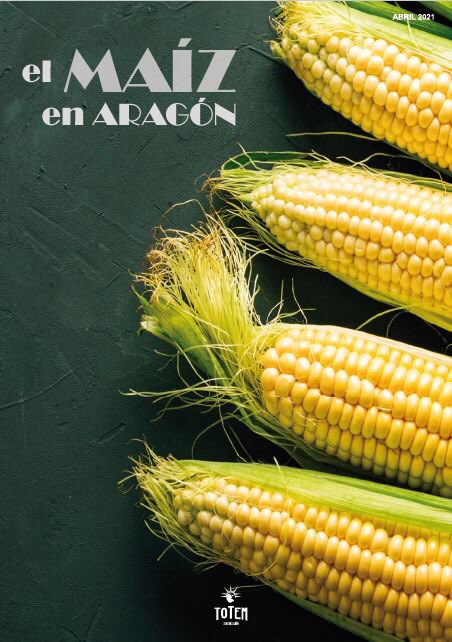 TotemComunicac's tweet photo. Totem Comunicación edita la revista dedicada al #maíz en #Aragón. 🌽
Un cultivo de vital importancia para Aragón, tanto por su aportación a la producción nacional como por la gran superficie cultivada en nuestra comunidad. Descarga la versión digital en:
https://t.co/QMkTMfzY8V https://t.co/Pwfzix4h2E