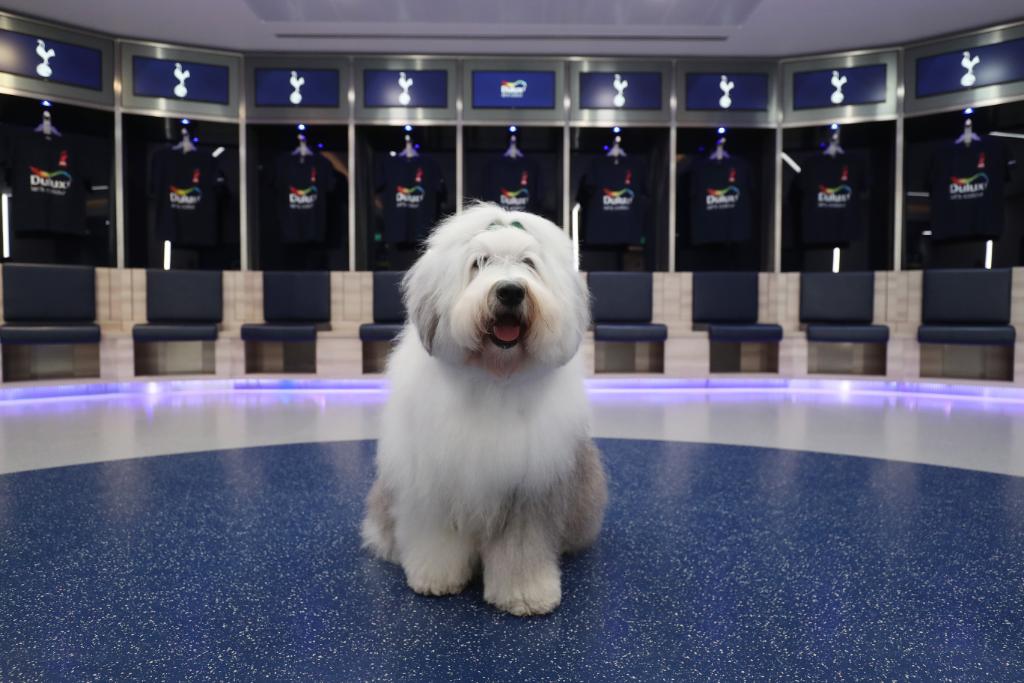 Dulux UK Colour & Inspiration on Twitter "It’s the perfect match