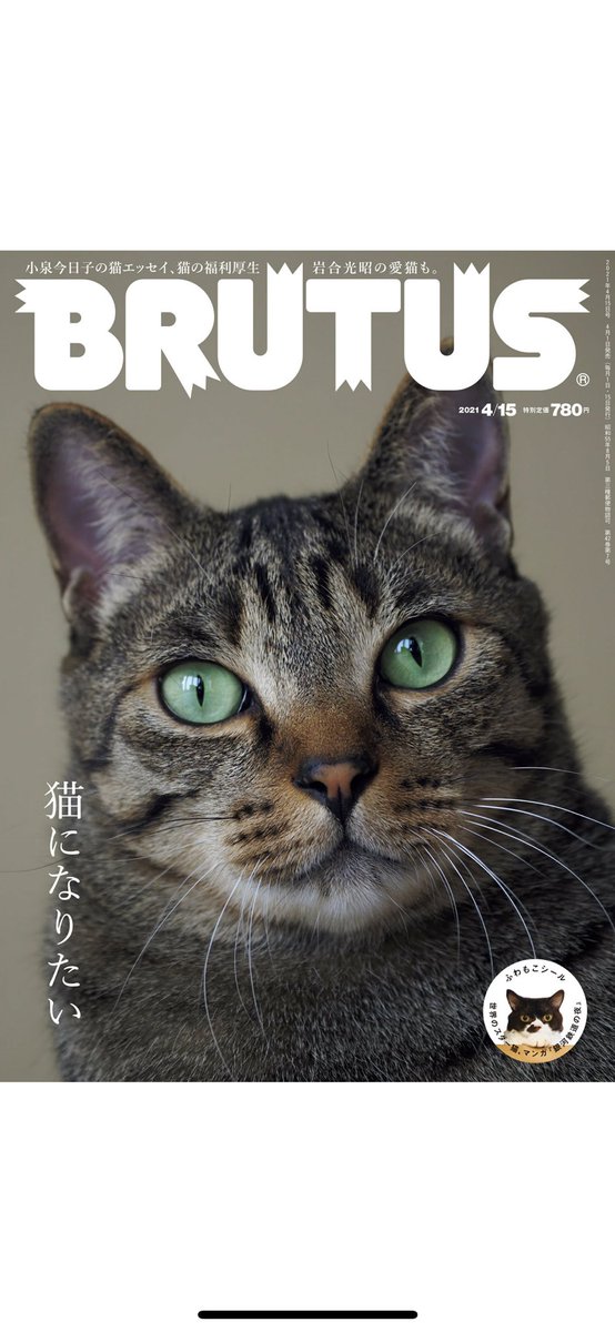 ビックリした、ビックリしてツイ消ししちゃった。

今月のBRUTUSに『ブス界』を少し取り上げてもらってるんですが、こんなネコチャンだらけ(4月号)の中に。。?と思ったら案の定載ってなくて焦ってツイート消してから調べたら、デカデカと漫画特集されてる5月号の中でした。
というわけで見てみてね? 