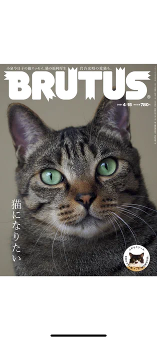 ビックリした、ビックリしてツイ消ししちゃった。

今月のBRUTUSに『ブス界』を少し取り上げてもらってるんですが、こんなネコチャンだらけ(4月号)の中に。。?と思ったら案の定載ってなくて焦ってツイート消してから調べたら、デカデカと漫画特集されてる5月号の中でした。
というわけで見てみてね? 