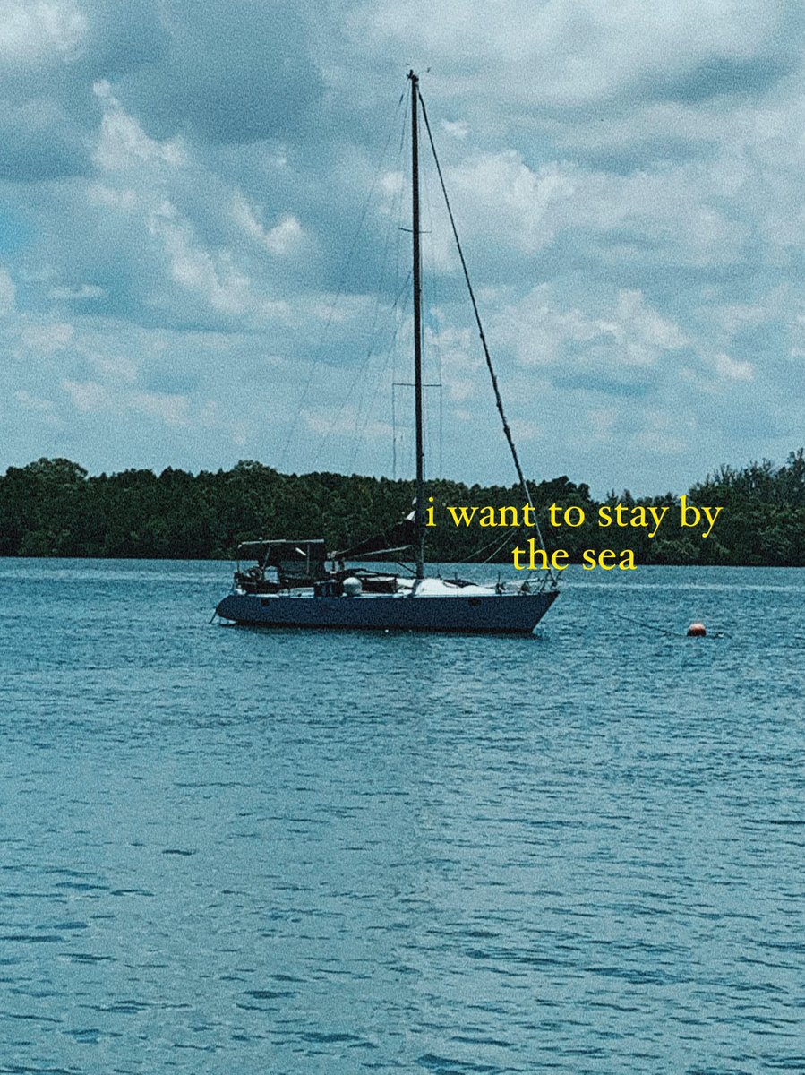 marrymenakamoto's tweet image. 🌊