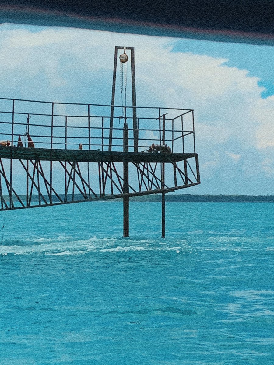 marrymenakamoto's tweet image. 🌊