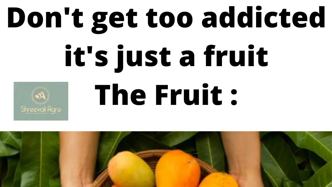 shreevaliagro's tweet photo. The KING <3 #Alphonso #mangoes #mango #devgad #haapus #hapoos #hapus #Fruitbasket #fruit #fruits #shreevaliagro #mumbai #pune #nashik #nagpur #maharashtra #konkan #malvan
Visit https://t.co/yewfSMTmBW to know more https://t.co/qXP2WL0V3X