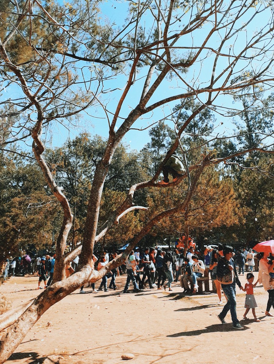Atography24's tweet photo. balancin' on breaking branches
.
#atography #philippines #manila #photography #photographer #photoftheday #photos #images #pictures #pinoy #pinoyedit #vsco #vscoph #vscoedit #taylorswift #folklorelyrics #sky #tree #baguio https://t.co/5xPUpOdSch