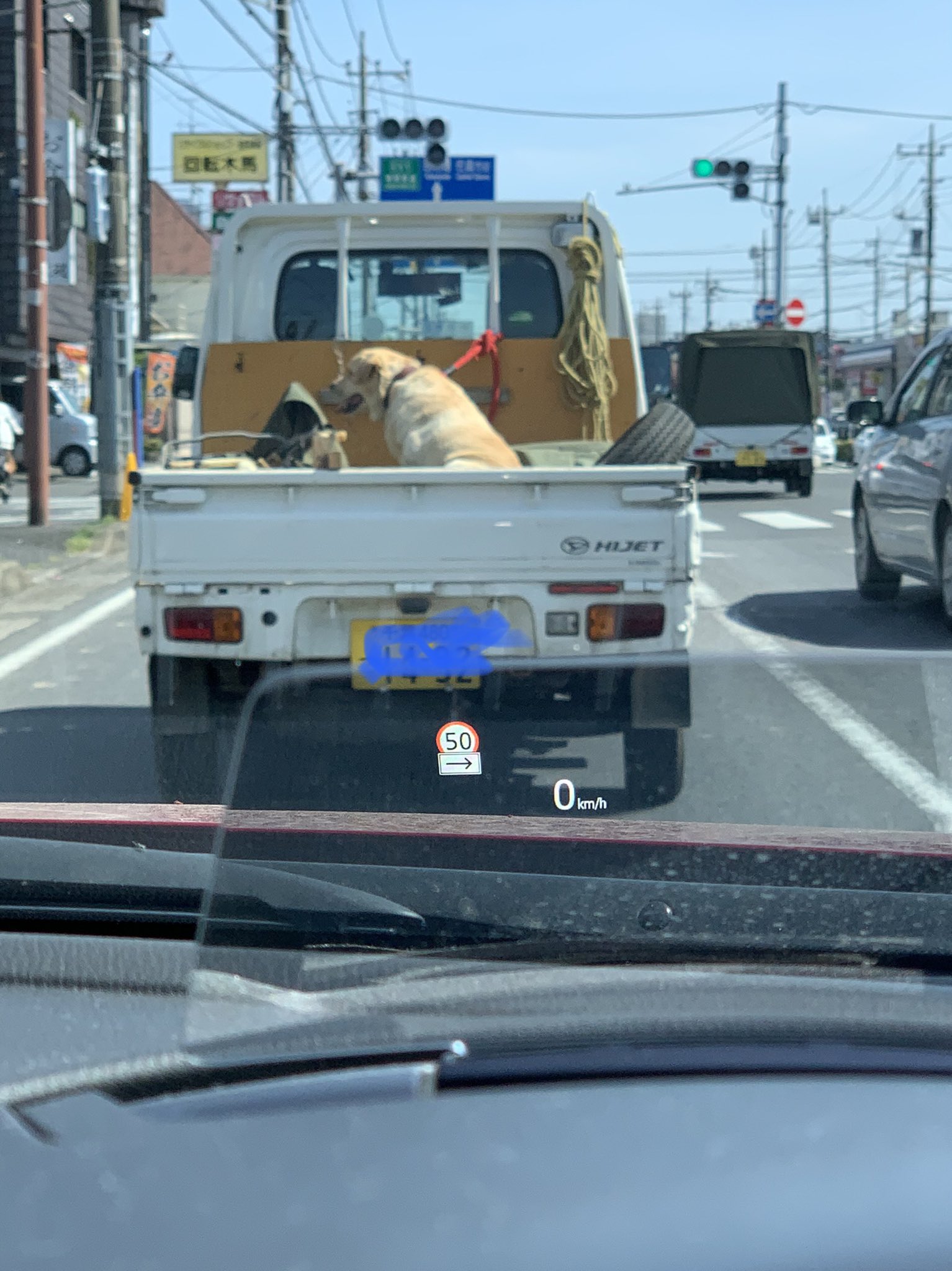 荷台に犬 Twitter Search Twitter