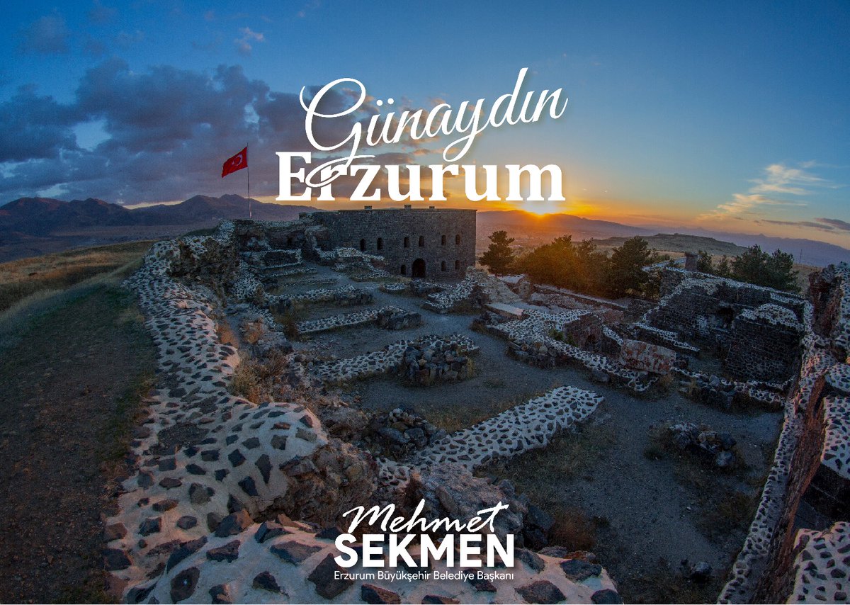 Mehmet Sekmen