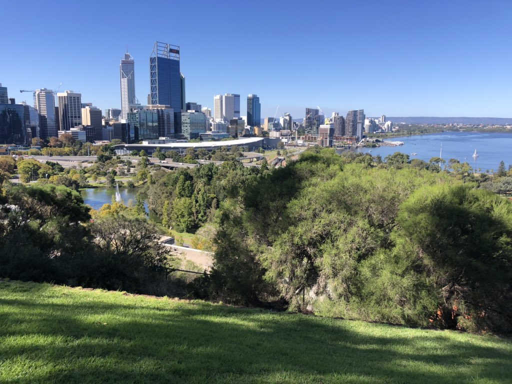 Perth is all sunshine today, gorgeous to take a lunchtime walk from the office up to Kings Park today 👌