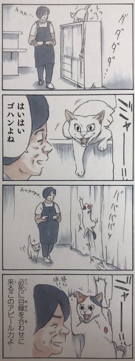 『拾い猫のモチャ5』収録
読むと猫に触れたくなる、猫に触れるとまた読みたくなる幸せ無限ループ猫漫画『拾い猫のモチャ』1〜5巻発売中です!https://t.co/AYaAxaHhim 