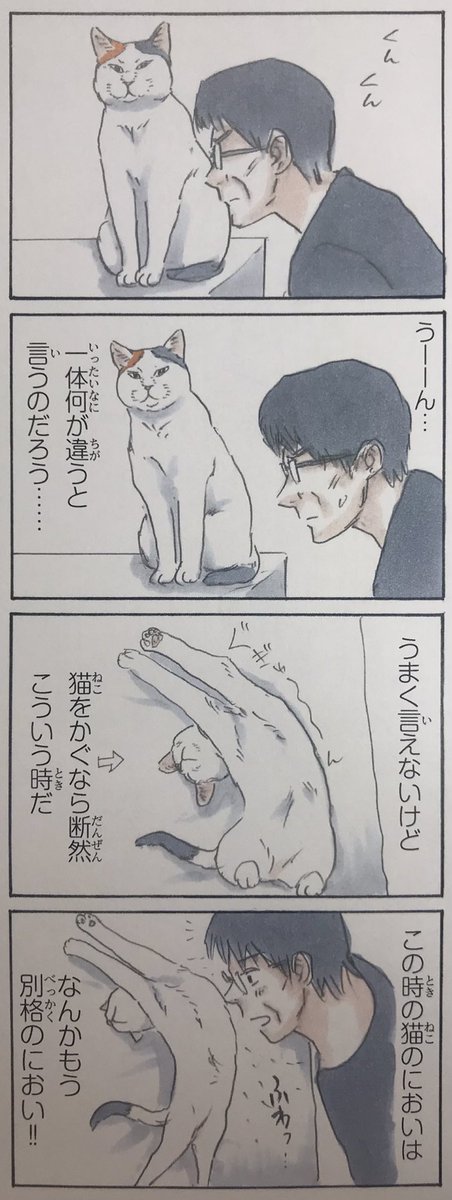 『拾い猫のモチャ5』収録
読むと猫に触れたくなる、猫に触れるとまた読みたくなる幸せ無限ループ猫漫画『拾い猫のモチャ』1〜5巻発売中です!https://t.co/AYaAxaHhim 