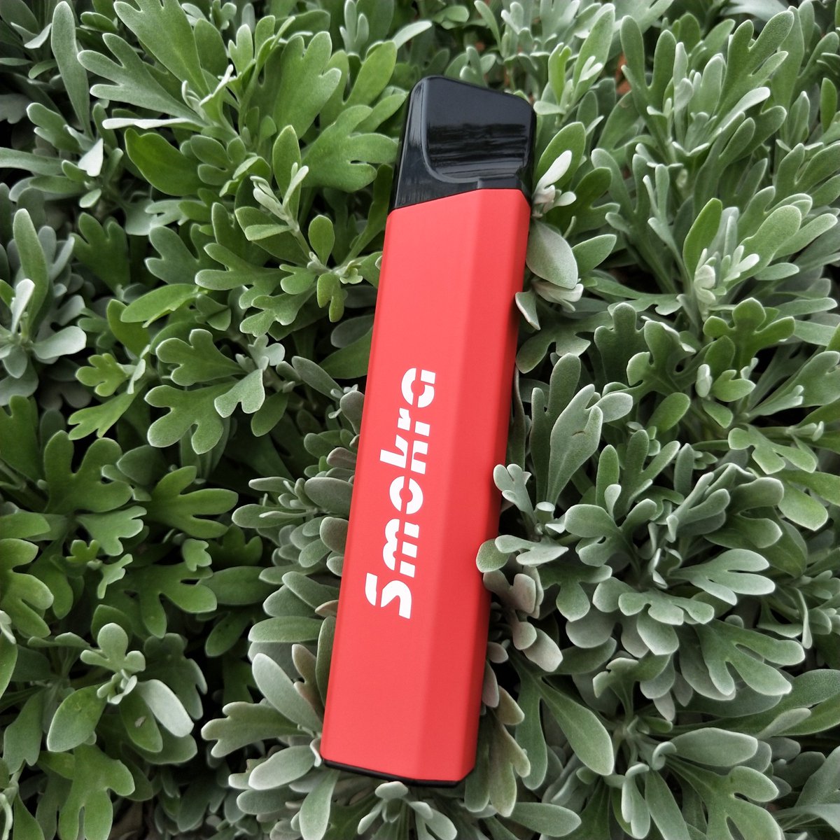 Bstolcom's tweet photo. No matter what you do, don't ever change. Smokra, the best selling disposables..⁣
.⁣
Warning: You must be of legal age to vape, thank you.
#Smokra #vapestore #vapeindonesia #Vapegg #vapeporn #vapenation #vapeon #vapefam #vapelyfe #maskking #vapetricks https://t.co/NlSwATRt9c