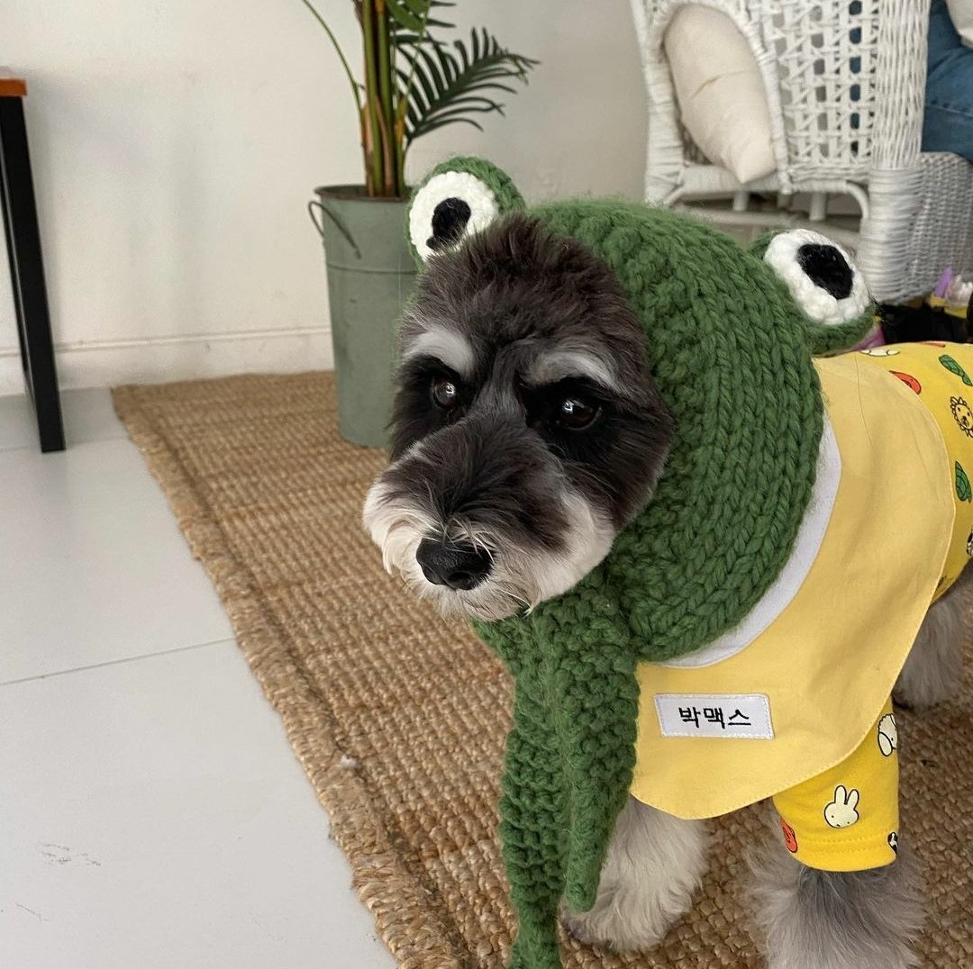 0529jihoon_ig's tweet photo. 2021.04.15 #박지훈

🐸MAX

🐶https://t.co/odMIVW2Hrf https://t.co/Wwrl1Qmwpi