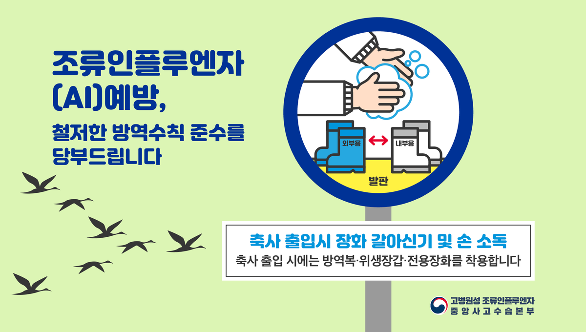 #조류인플루엔자 #AI 예방,
방역수칙을 꼭 지켜주세요.

축사 출입 시에는 장화를 갈아신어주세요.

또한 방역복, 위생장갑, 전용장화를
착용해야 합니다.

#가축방역 #가축전염병
#농업인행동요령