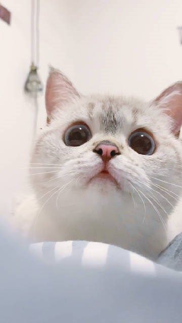 <a href="/elvesgen/">⁺ 𓈒 ᱸ エルフくん ( ตอบช้าครับ ) ˉ . ⁺</a> รายงานตัวค้าบ จายุนิ กลับบอทมาก้อจายุ!!