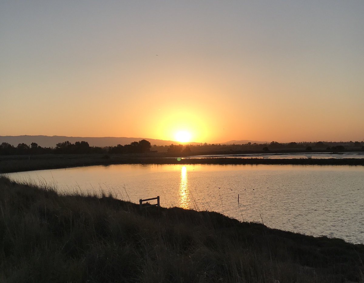 rosanamadrigal's tweet photo. Tonight’s PBS NOVA - Picture A Scientist is very enlightening & still very sad as women make up less than one quarter of employees in STEM & for women of color less than 5% are in STEM. #PBSNOVA
Blessed to pray by the San Francisco Bay & Mountain View Shoreline💚🙏🏼 https://t.co/YyZO80Y3Fw