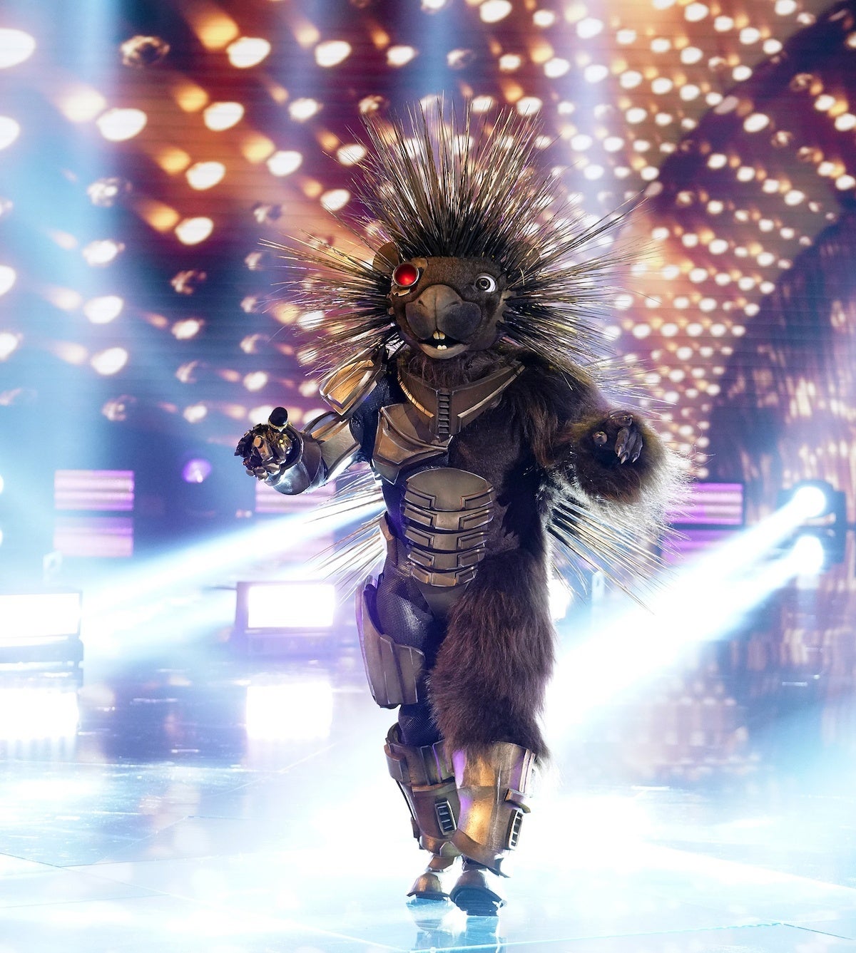 The masked Singer Porcupine