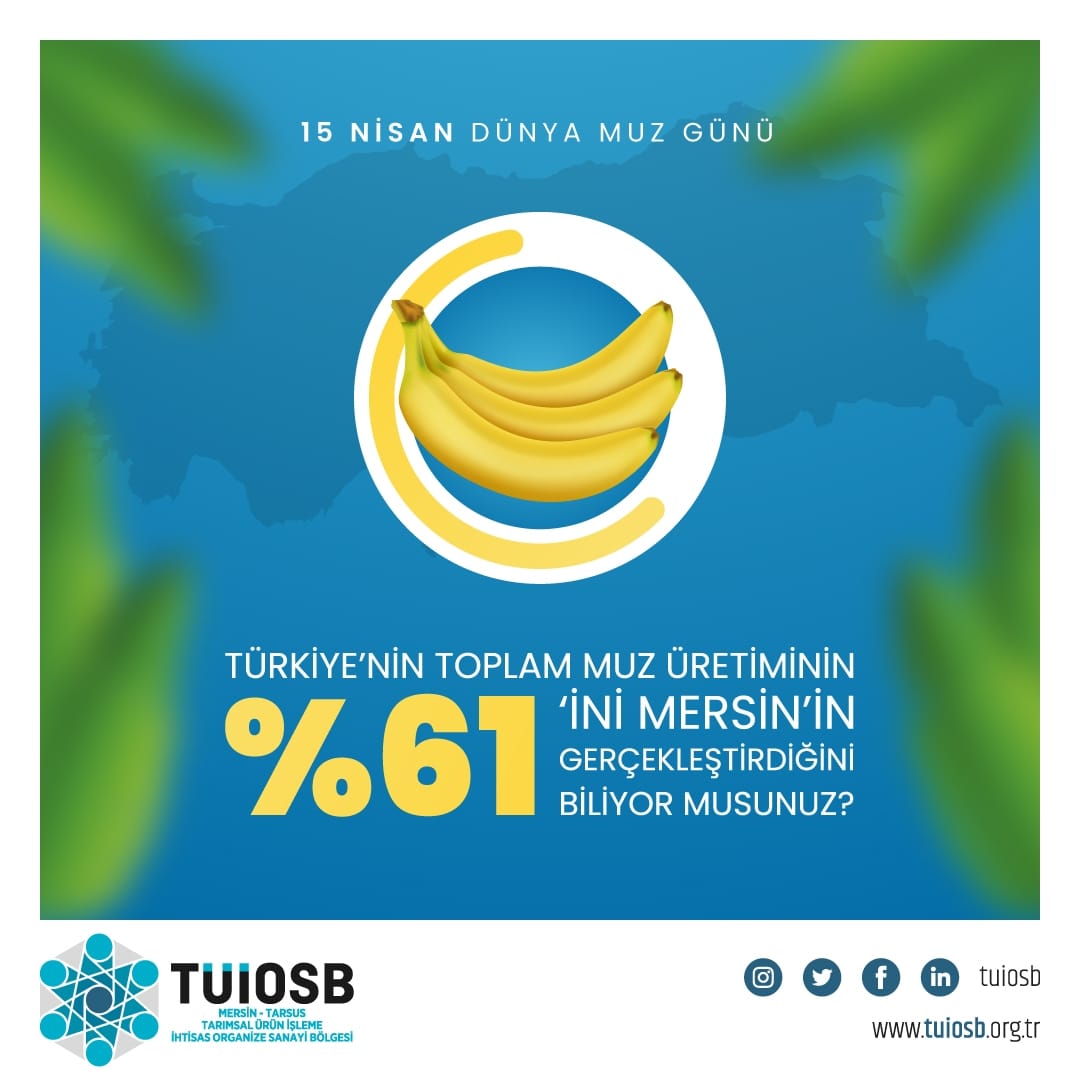 Türkiye'nin toplam muz üretiminin yüzde 61'ini Mersin'in gerçekleştirdiğini biliyor musunuz?

#DünyaMuzGünü
#15Nisan
#mersin