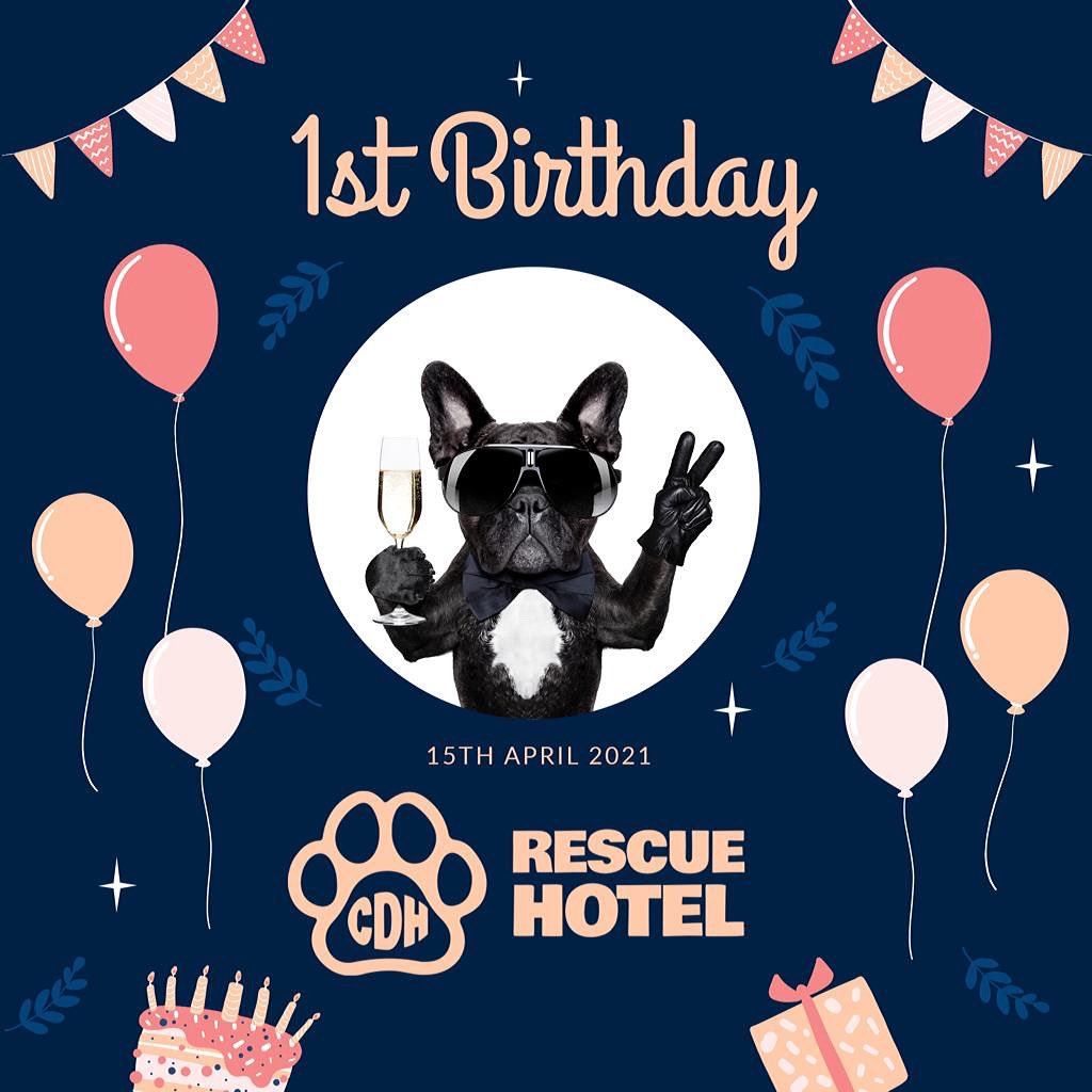 Cardiff Dogs Home, The Rescue Hotel tweet media