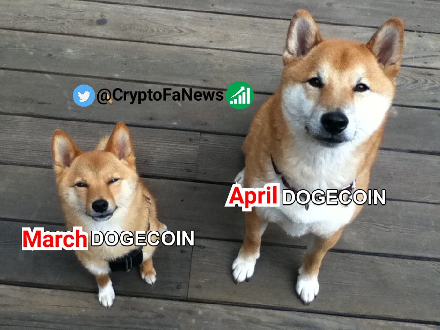 #April    pump #dogecoin 😄
#دوج_کوین #فوري       #ایران