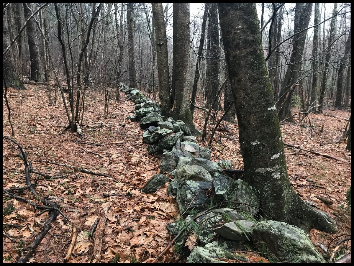 backyardgeology (backyardgeology) Twitter