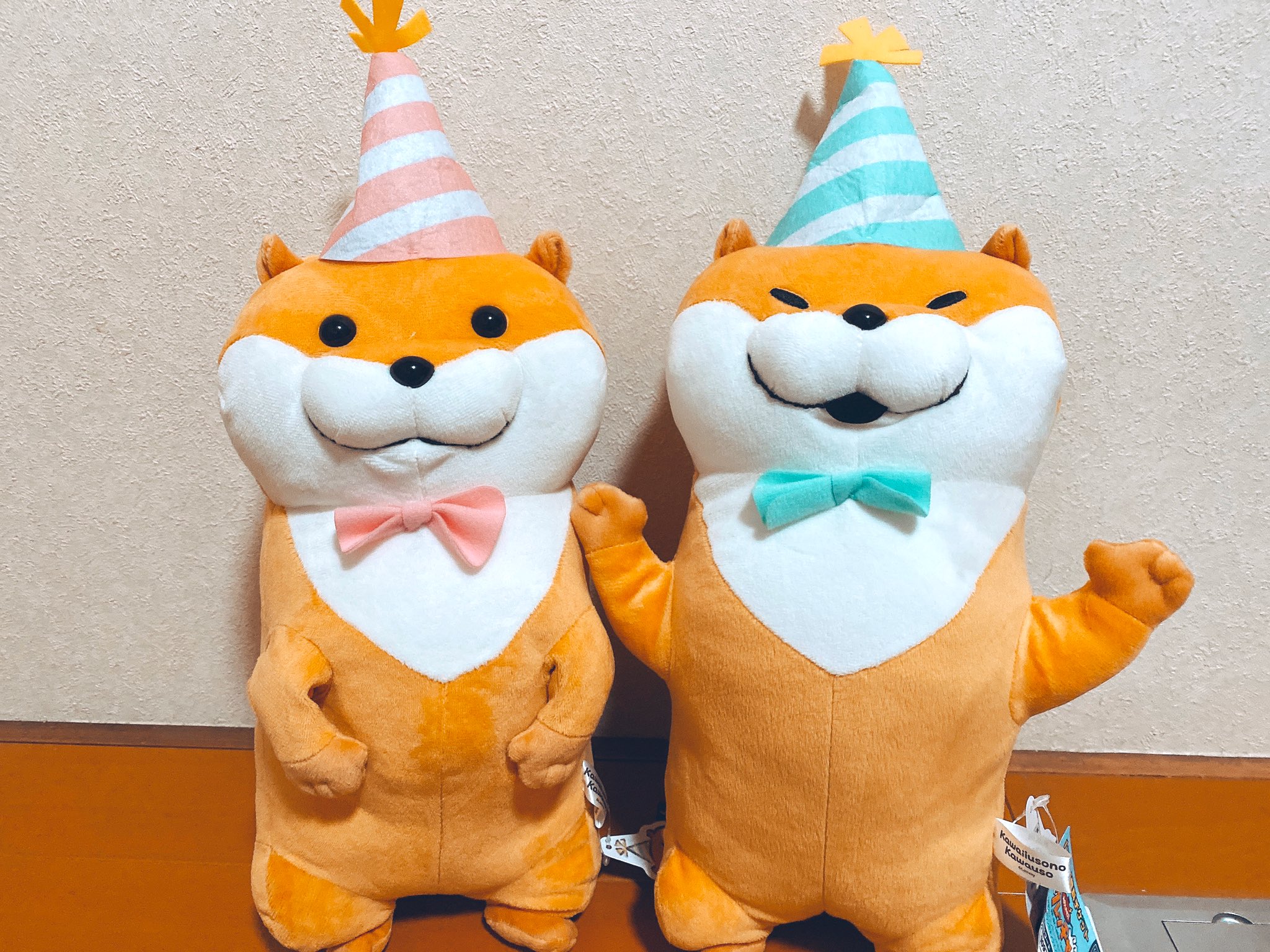 ぬん侍 ぬ ん 新しくお迎えしたの ぬんぬん 改めましてお誕生日おめでとおございますなの 可愛い嘘のカワウソ ぬんぬんフォトキャンペーン T Co Gtusztkhie Twitter