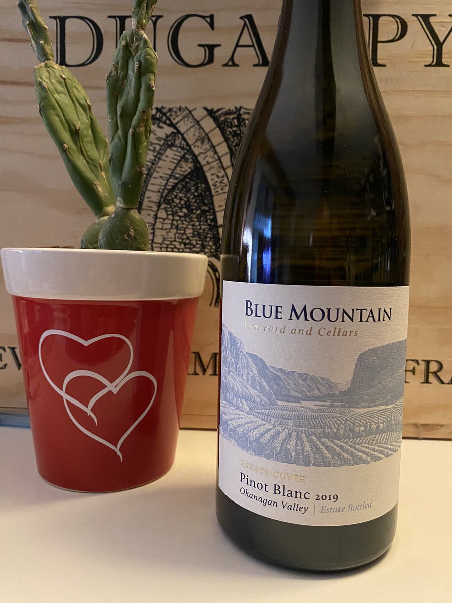 BC Pinot Blanc. Yeah or nay? @Constan70997526 @BCPinotNoirInfo @alawine @ja2cook @missbubbles1983 @sparklingwinos @TalesoftheCork @KellyMitchell @DivaVinophile @BCWineTrends @SandraOldfield @hmgivingsoul @WineFolly @TheSpitter @jules_mahon @pietrosd @frankstero 😎🍷🍇💜