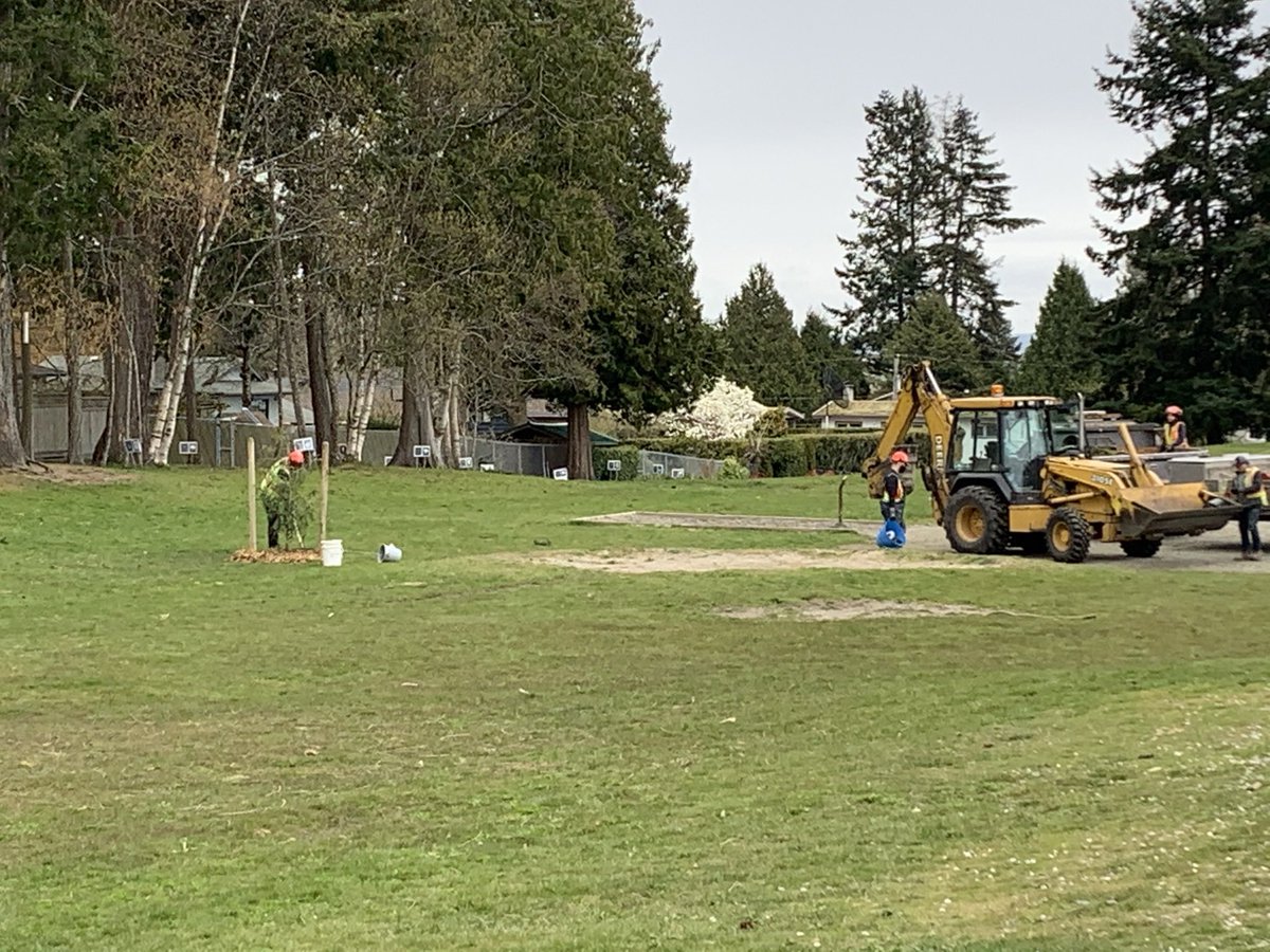 Pebble Hill Traditional Elementary (@hill_pebble) on Twitter photo We are honoured to plant this cedar tree along with <a href="/IndigEdSD37/">Indigenous Ed SD37</a> <a href="/deltasd37/">DeltaSchoolDistrict</a> <a href="/CityofDeltaBC/">City of Delta</a> Official ceremony coming soon. 🌲💚 We are honoured to plant this cedar tree along with <a href="/IndigEdSD37/">Indigenous Ed SD37</a> <a href="/deltasd37/">DeltaSchoolDistrict</a> <a href="/CityofDeltaBC/">City of Delta</a> Official ceremony coming soon. 🌲💚