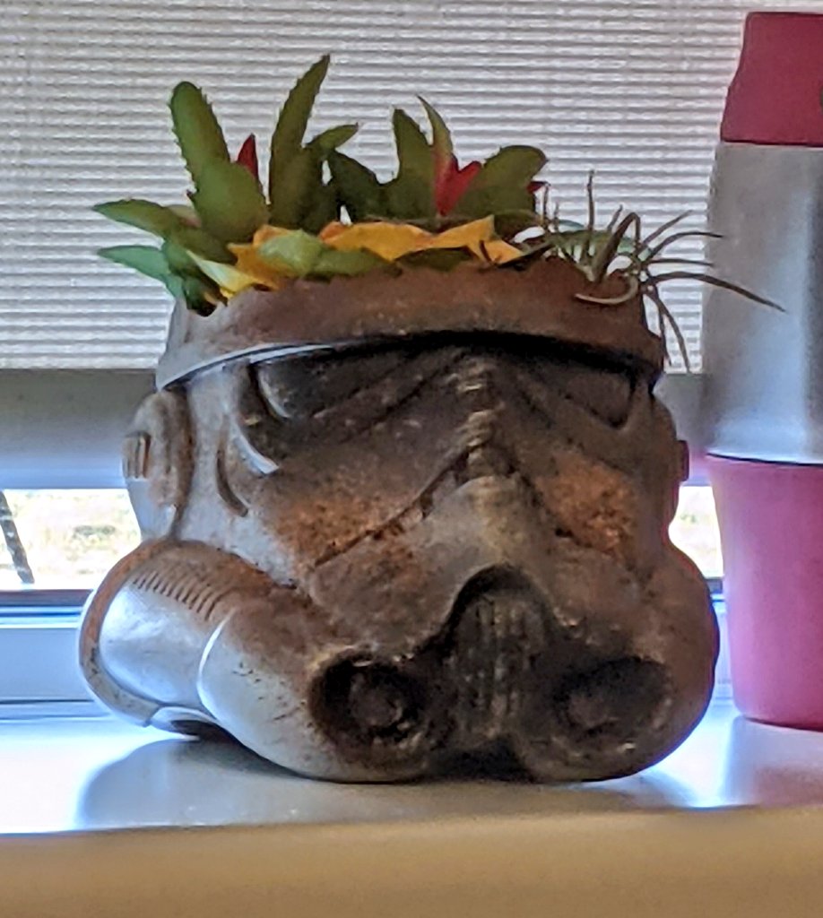 Jayne🧁 tweet media