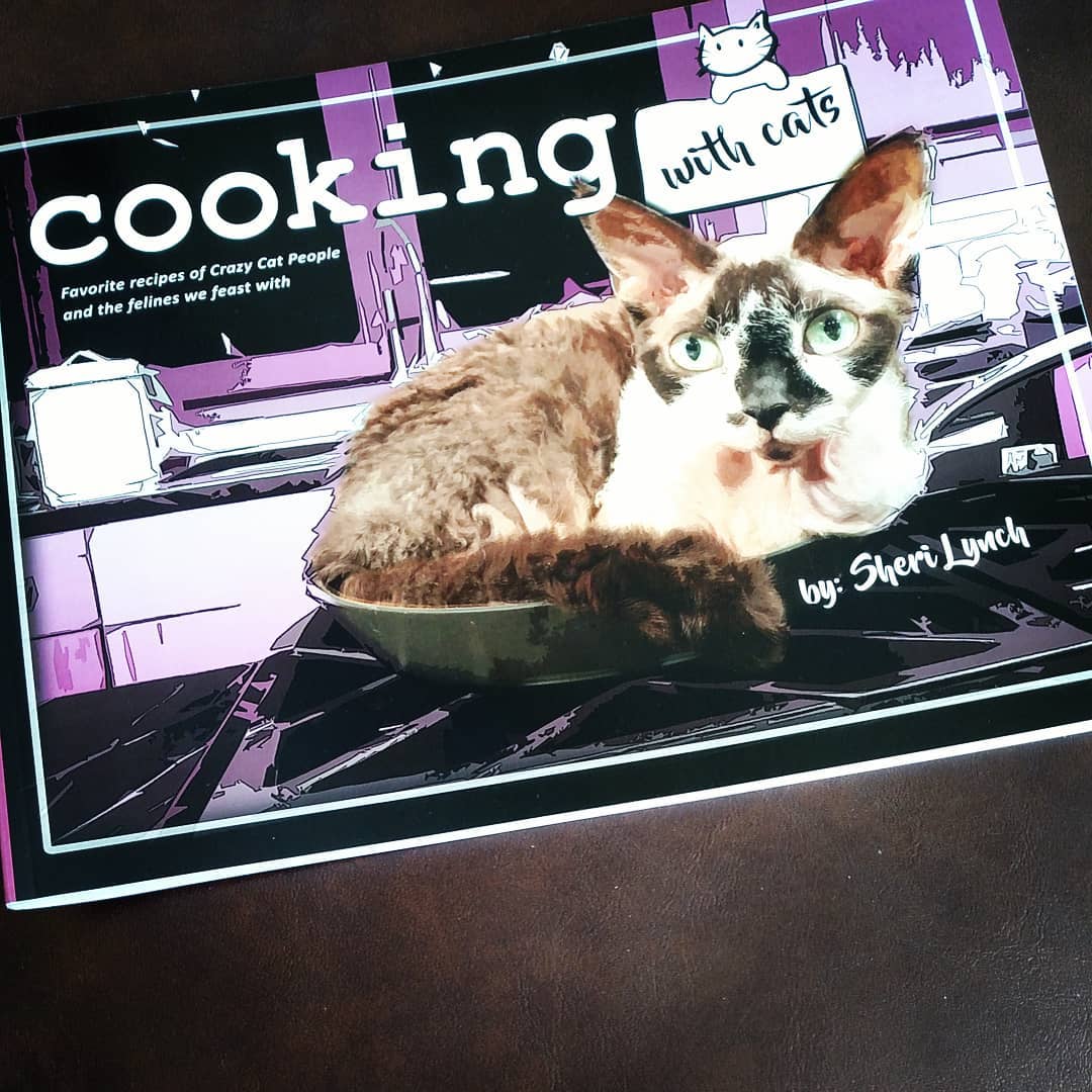 Cookbookaholic's tweet photo. A cookbook for a cat lover?! @sherilynch shares my love of cookbooks &amp; now has one of her own: Cooking with Cats
Bob &amp; Sheri listeners provided recipes, too, but I'm heading straight to "Grandmom Bartholetti's Meatballs"
#CookingwithCats #italianmeatballs #cookbookaholic https://t.co/o6zTZjDUxC