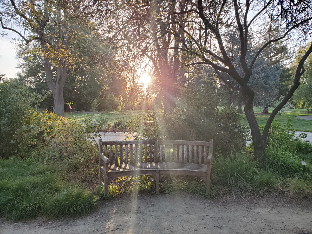 LMGerhart's tweet photo. My favorite part of spring is getting to do the #WildDavis field activities with my students. This quarter, for our observation spots, I chose Dr. Ruth Risdon Storer's garden in the Arboretum ❤️
More details at: https://t.co/nA3pcBMmQi https://t.co/vMx6aBtSkn