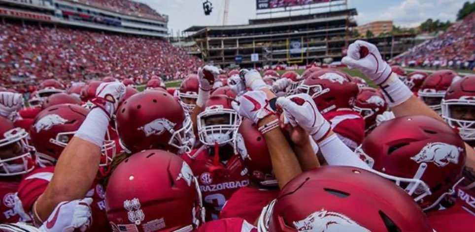 Alex Bacchetta tweet media