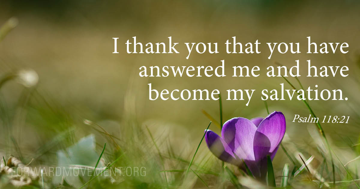 ForwardDayByDay's tweet photo. Psalm 118:21 I thank you that you have answered me and have become my salvation. https://t.co/8XS6vyGNta