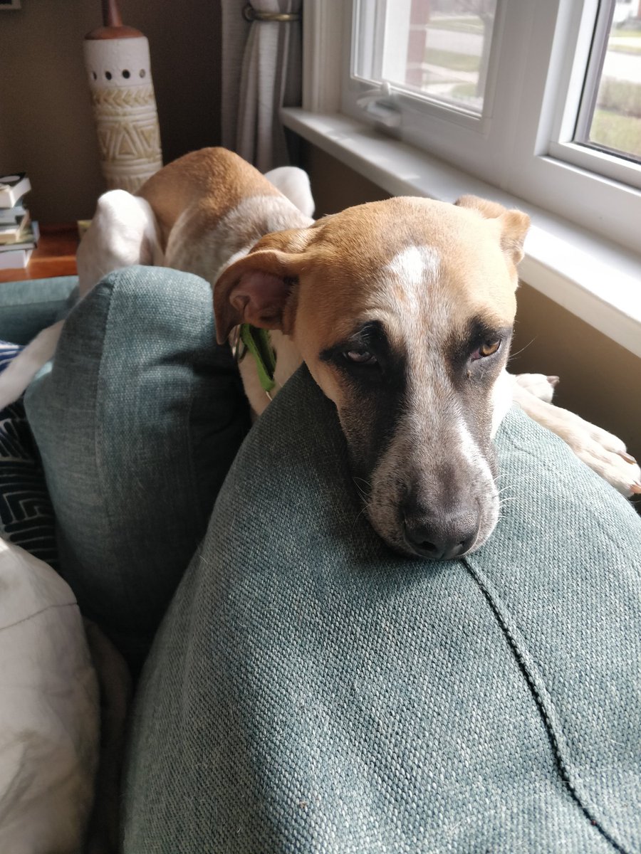 Kate Wilhelm tweet media