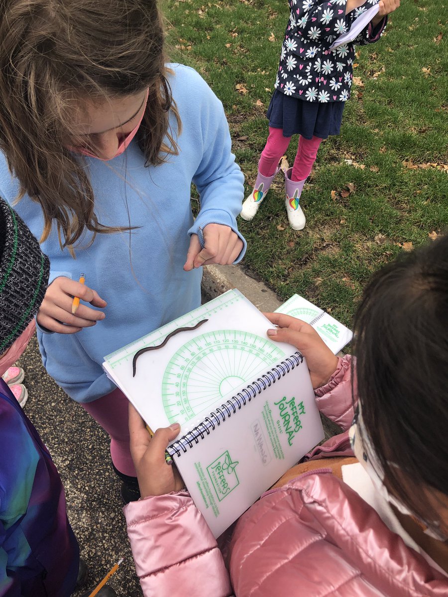 heyerlearning's tweet photo. #WildernessWednesday
Our signs of spring walk was interrupted with a #MathLesson - measure the worm. Record was 18 inches! Thankful that the @jeffersfound8n journals have rulers!
#MathOutside #WormsAreCool #ShortestWorm #LongestWorm #CanWeStretchTheWorm #TeachOutside #Teamwork https://t.co/SgTnh6QBFq