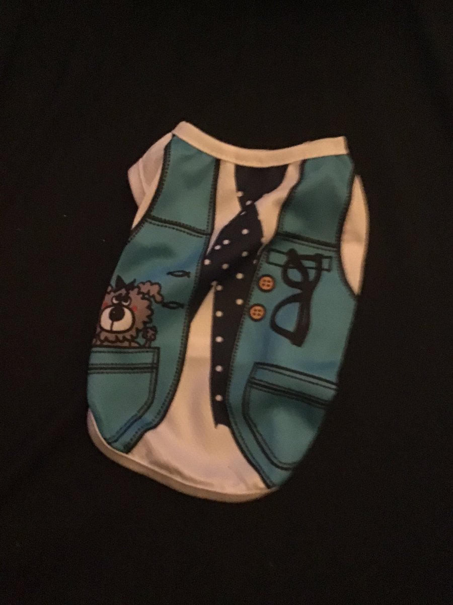 VuttonCheung's tweet image. Mom went to grandmas after work to get my stuff from Wish that arrived.  My pink harness for carrying like my black one but pink, new Jammies and tie shirt love it .  Thanks mom