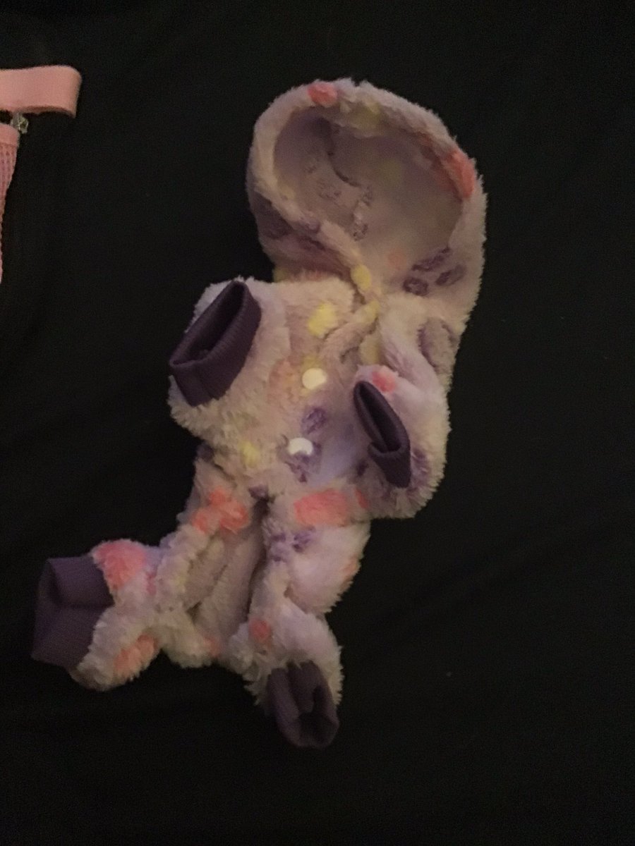 VuttonCheung's tweet image. Mom went to grandmas after work to get my stuff from Wish that arrived.  My pink harness for carrying like my black one but pink, new Jammies and tie shirt love it .  Thanks mom