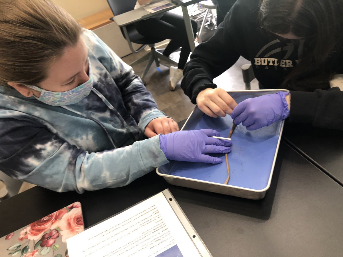 MsEmmaTeaches's tweet photo. #BlockB had the amazing opportunity yesterday to visit the @ButlerCUEfarm to learn about bring irrigation and sustainability into the classroom followed by a worm dissection! I can’t wait to bring these into my future classroom! @DrPangansclass https://t.co/DhDXJvWxkA