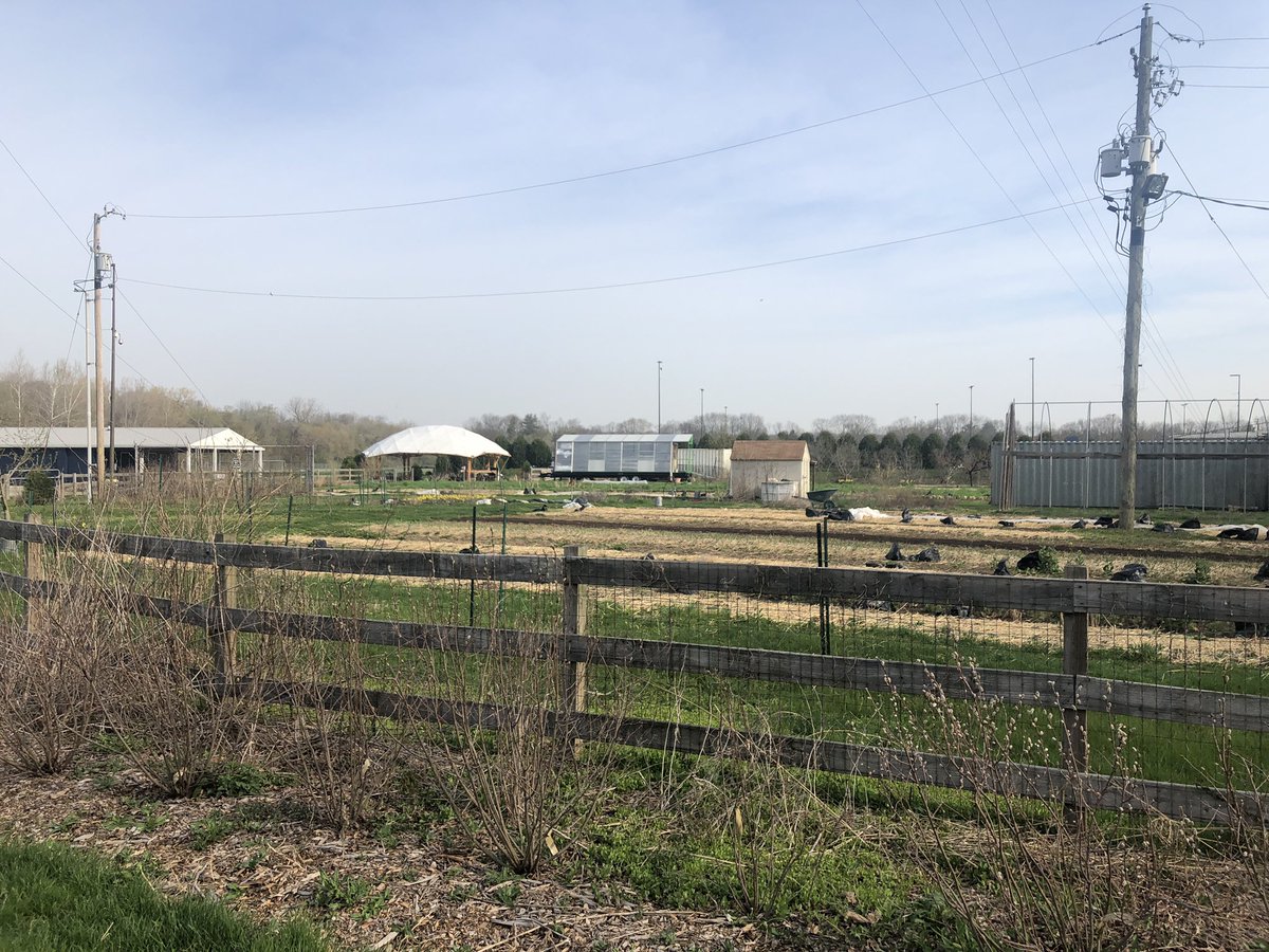 MsEmmaTeaches's tweet photo. #BlockB had the amazing opportunity yesterday to visit the @ButlerCUEfarm to learn about bring irrigation and sustainability into the classroom followed by a worm dissection! I can’t wait to bring these into my future classroom! @DrPangansclass https://t.co/DhDXJvWxkA