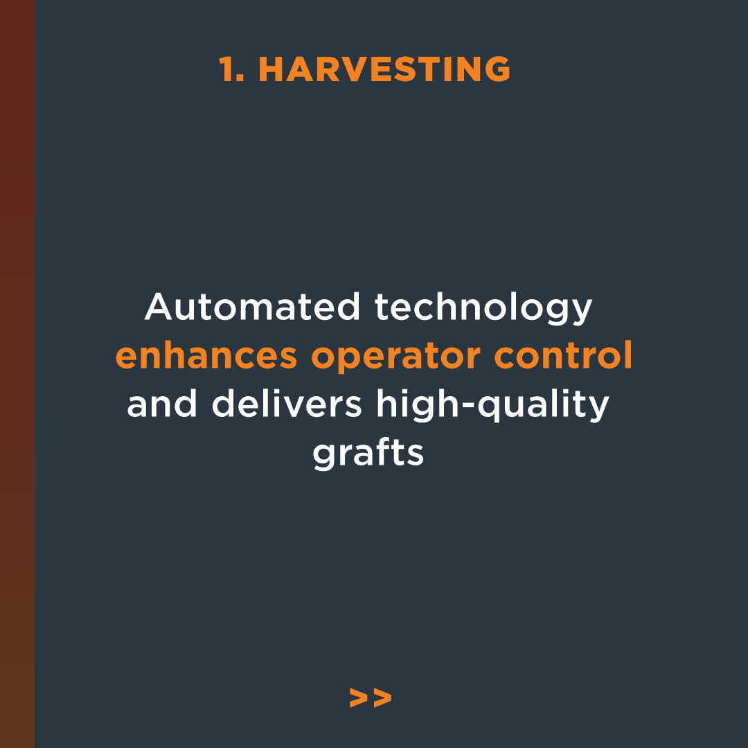 neograft's tweet photo. Wondering how a minimally invasive NeoGraft® procedure works? The three steps involved are harvesting, site making, and implantation. Easy as 1,2,3. Schedule a consultation with a certified provider today to see if you are a candidate:  https://t.co/Yrr9dyQFYv https://t.co/zwsk0xJmHJ