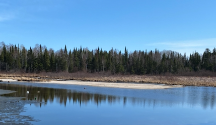 FergDevins's tweet photo. looking forward to your presentation tonight @thewaterbros #LOWDSA - be sure join the Lake of the Woods Club on @joinClubhouse - see you there ! https://t.co/u6mGSGWc3I