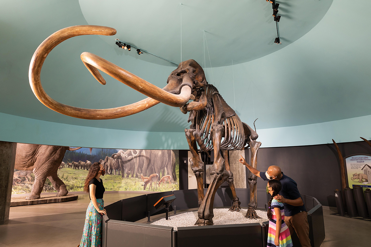 🐾 It's official. WELCOME BACK! We’re excited to finally reopen the #TarPits Museum doors to the community after more than a year!

When's your next visit? Limited tickets available now through April 25, with additional availability mid-April: tarpits.org/la-brea-tar-pi…